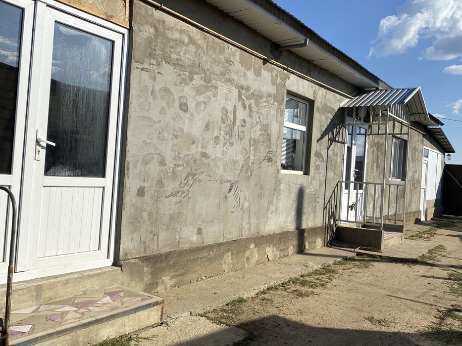 Действующее  ЛПХ в городе + два дома.