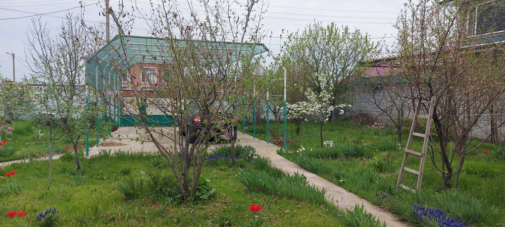 Продается дача с садом  в Паркентском районе