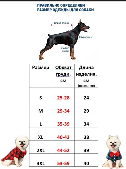 рубашка для собак