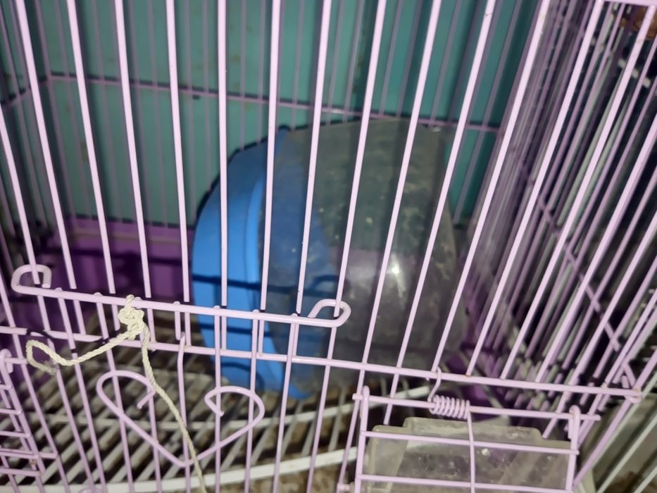 Клетка для попугаев