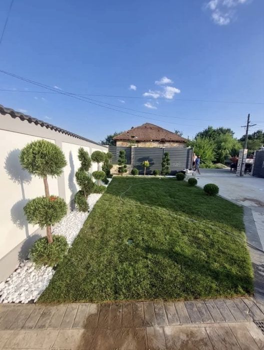 Grădini | Gazon Rulou | Irigații | Intretineri | Pavaj montaj De la A la Z