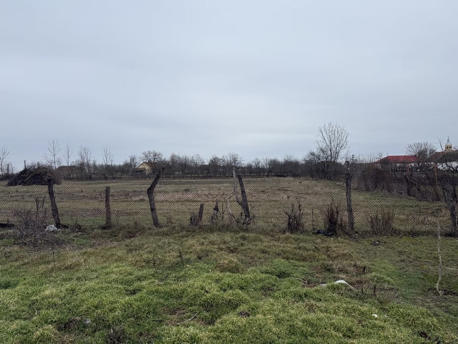 Teren intravilan 1300 mp, front stradal 24ml -Cerna (com. Liebling) –