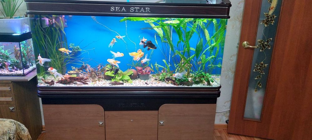 Продам заводской аквариум