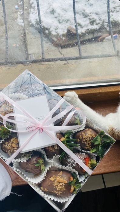 Клубника в шоколаде