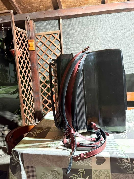 Instrument muzical
