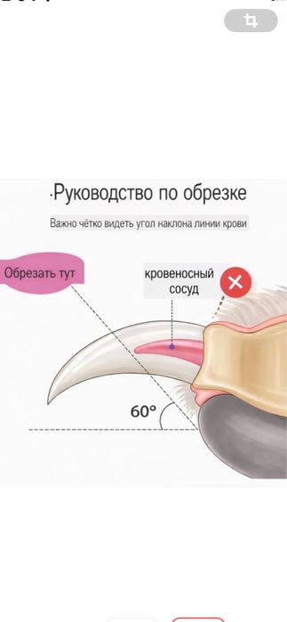 Продам новый когтерез