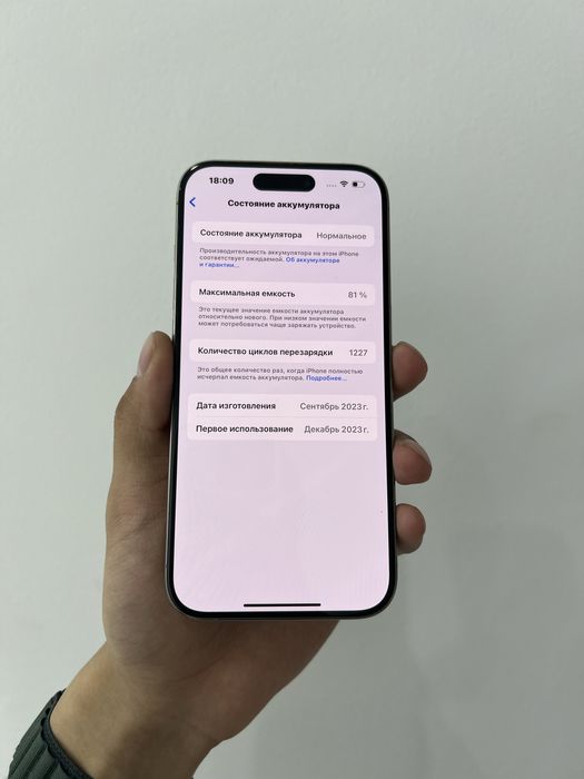 IPhone 15 Pro 128/81%