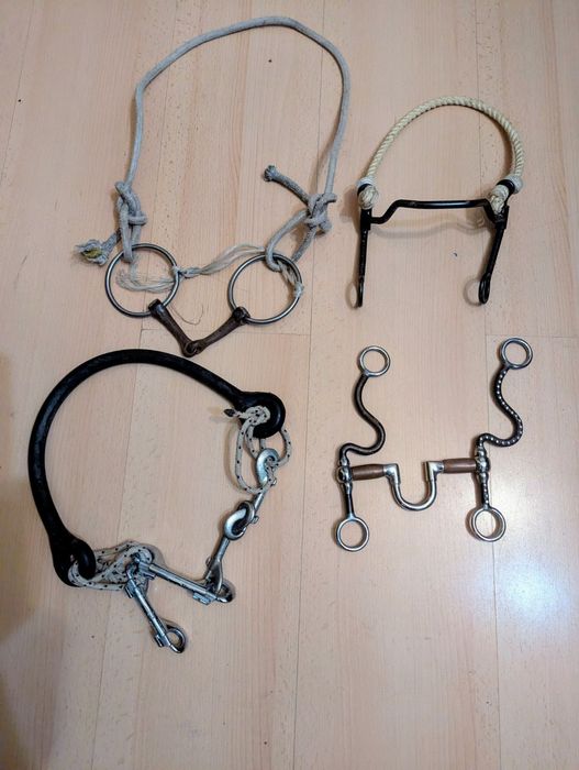 Италиански принадлежности за коне