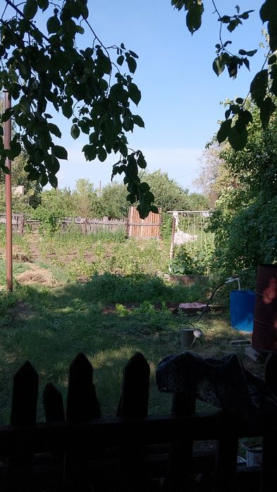 Продам дачу, сад южный