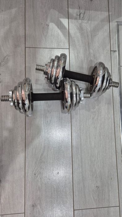 Гантели разборные