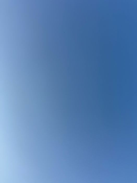 Gonga protejata prin lege