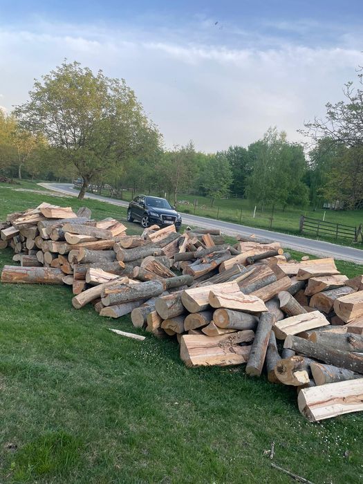 ‼️Lemne de foc esențe tarii[Fag,gorun,carpen,cer] la cele mai bun preț