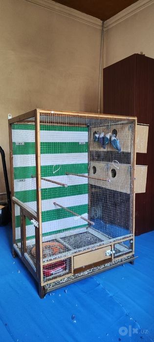 неразлучка 4та +кафас 1,5-1м