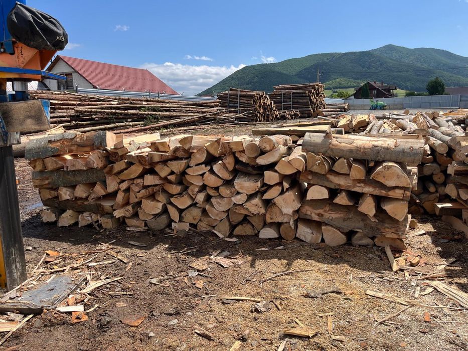 Blane de fag ( lemne de foc ]