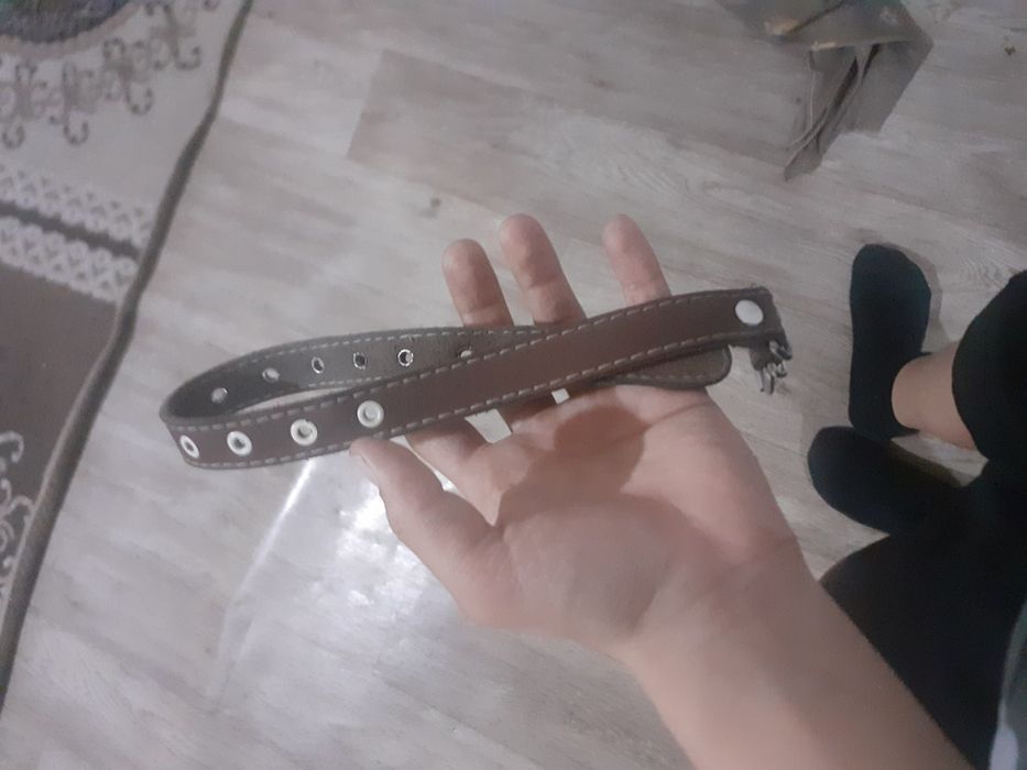 Ошейник для собаки