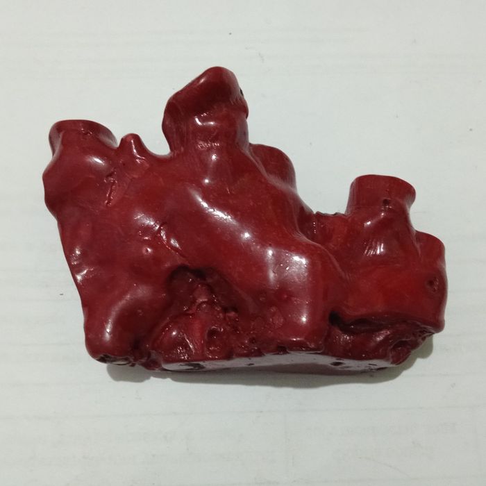 Коралл натуральный вес 854г