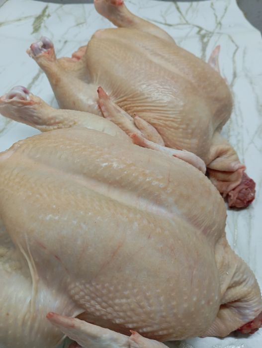 Мясо домашнего бройлера