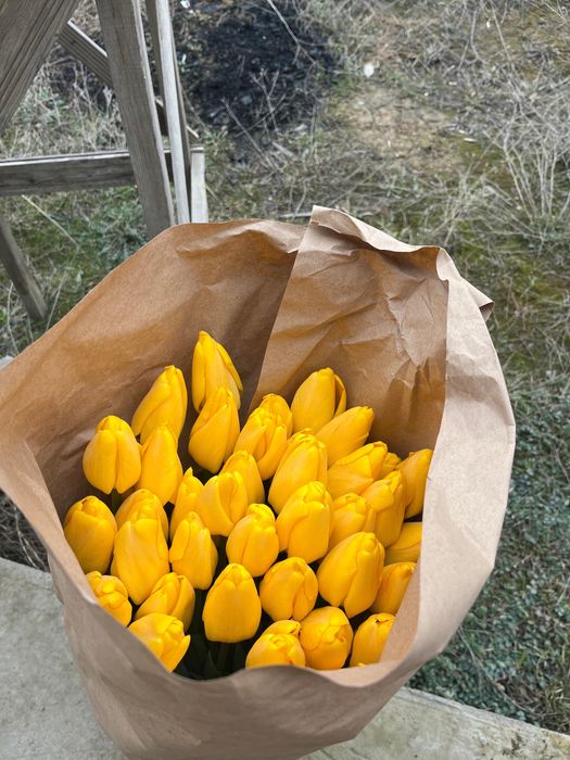 Тюльпаны беларусские 60см