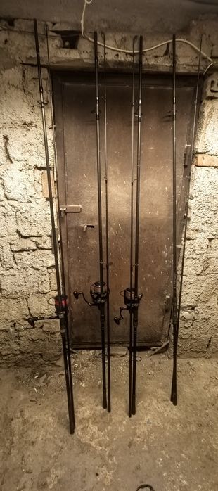 Bete crap + mulinete