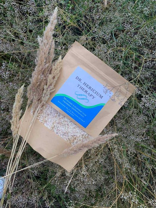 Ежовик гребенчатый