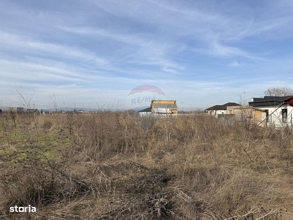 Teren intravilan 7478 mp Bucov, parcelabil, ideal investiție
