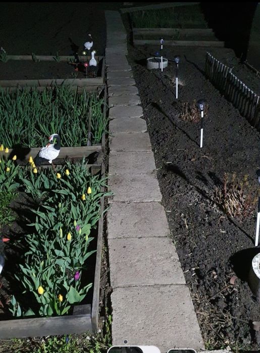 Продам дачу по зерендинской трассе