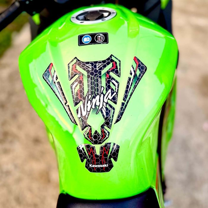 Kawasaki ninja 300