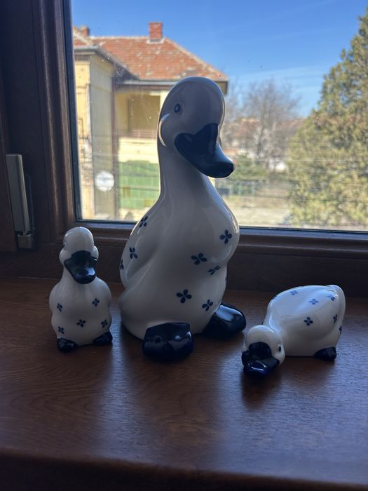 Vaza ratusca cu bobocei