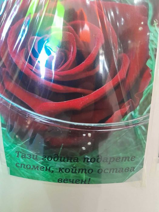 Вечна роза в стъкло – Подарък, който остава завинаги