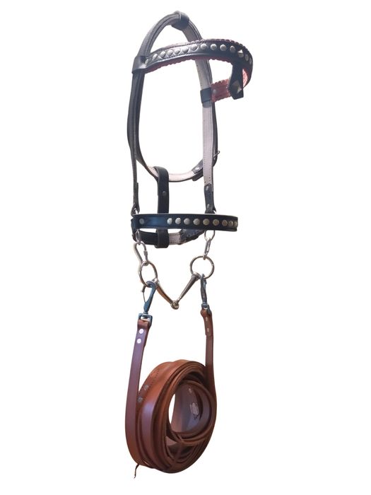 Юлар, кантарма, поводи, палдъм, сарашки услуги естествена кожа