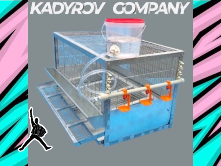 Удобные клетки для кур: комфорт и здоровье ваших птиц!