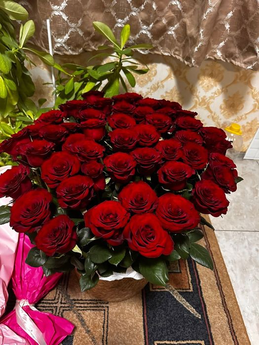 Продам цветы дешего