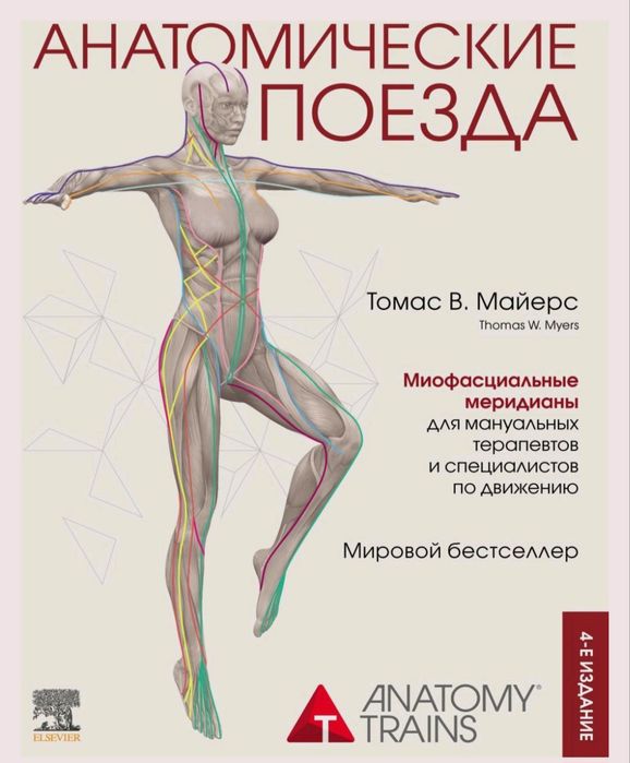 Анотомические поезда