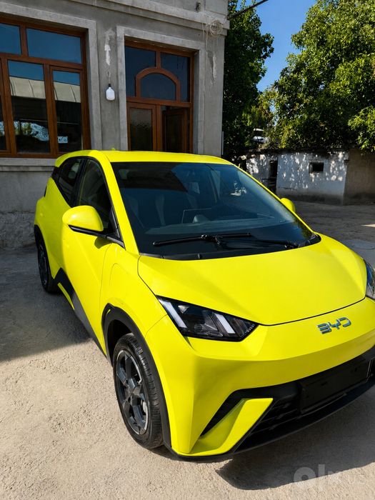 BYD Seaugle full