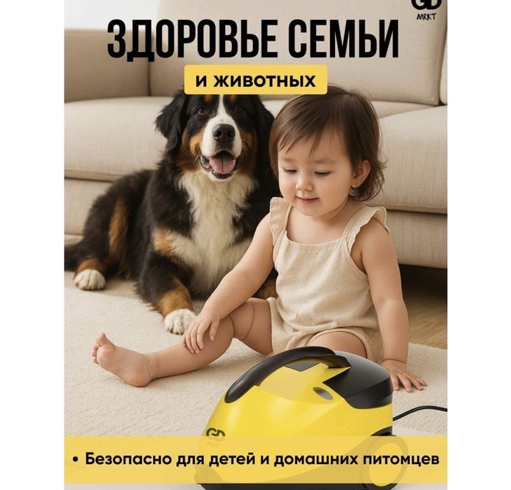 Пароочиститель в аренду