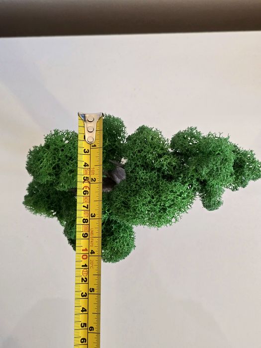 Bonsai printat 3D cu licheni