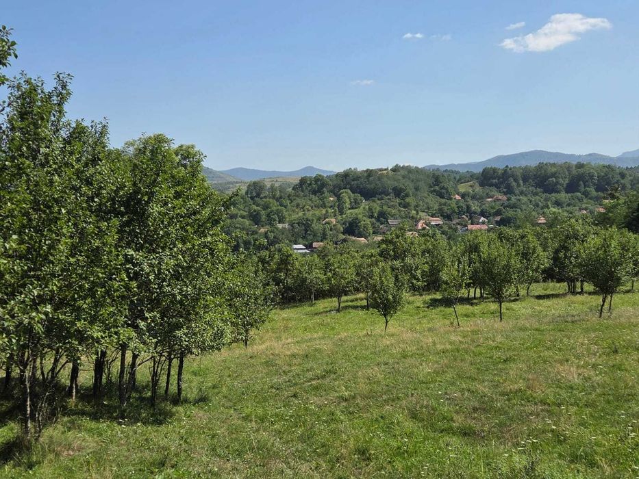 Teren intravilan de vânzare – Cacova Ierii, județul Cluj