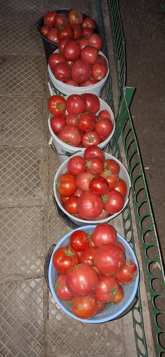 Продавам Домашни Домати