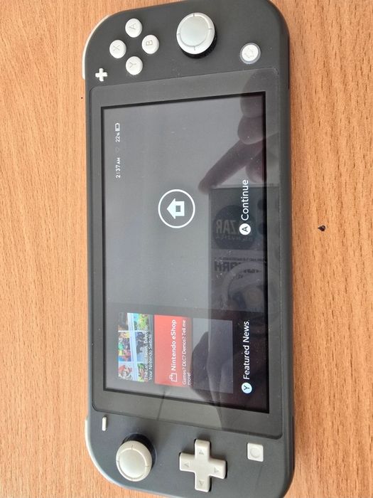 Nintendo switch lite grey