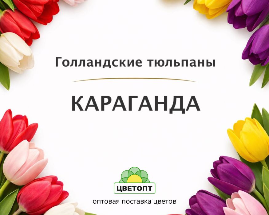 Тюльпаны оптом Караганда