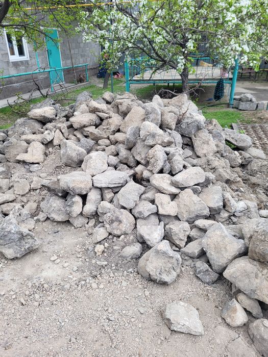 Таудың тасы бар.