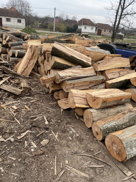 ‼️SC Vindem lemne de foc VERZI/USCATE [Fag,gorun,carpen,cer]