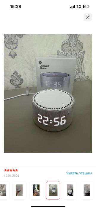 Алиса новый калонка