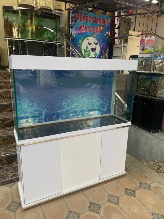 Аквариум любого вида
