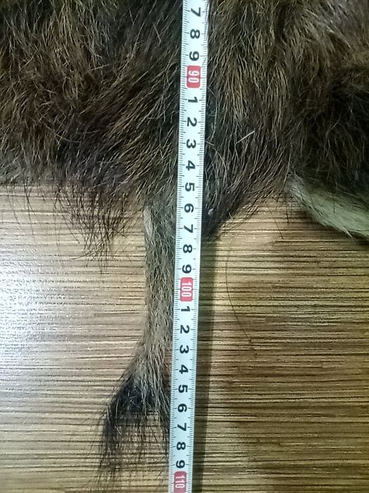 Кожа от диво прасе