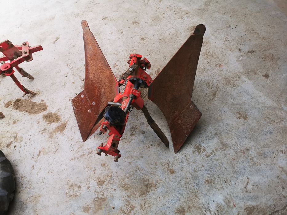 Vand plud reversibil grapa cultivator