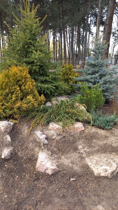 Автополив Газон Профессионально!