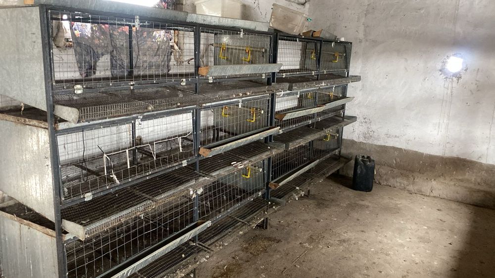 Клетка для несушек