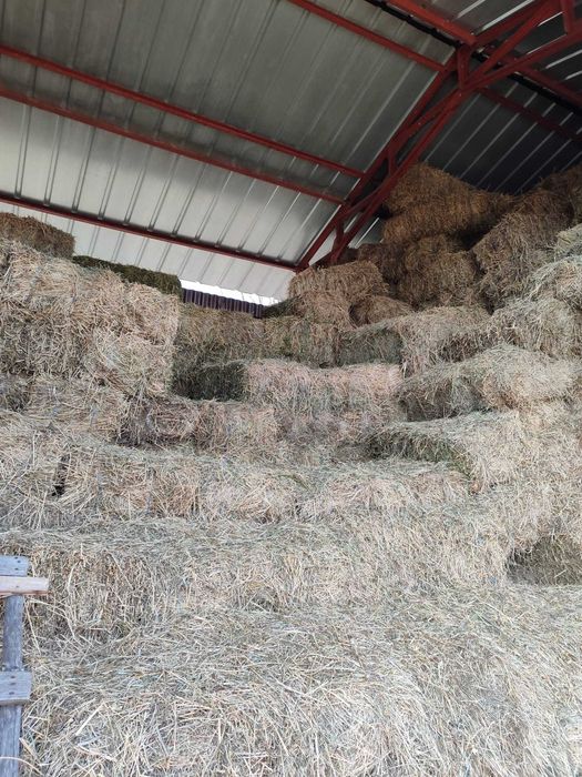 Baloti de fan la 22 de kilograme