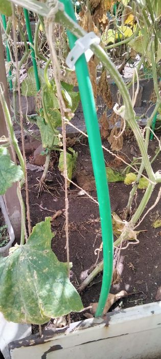 Срочно продам Дуги для огорода